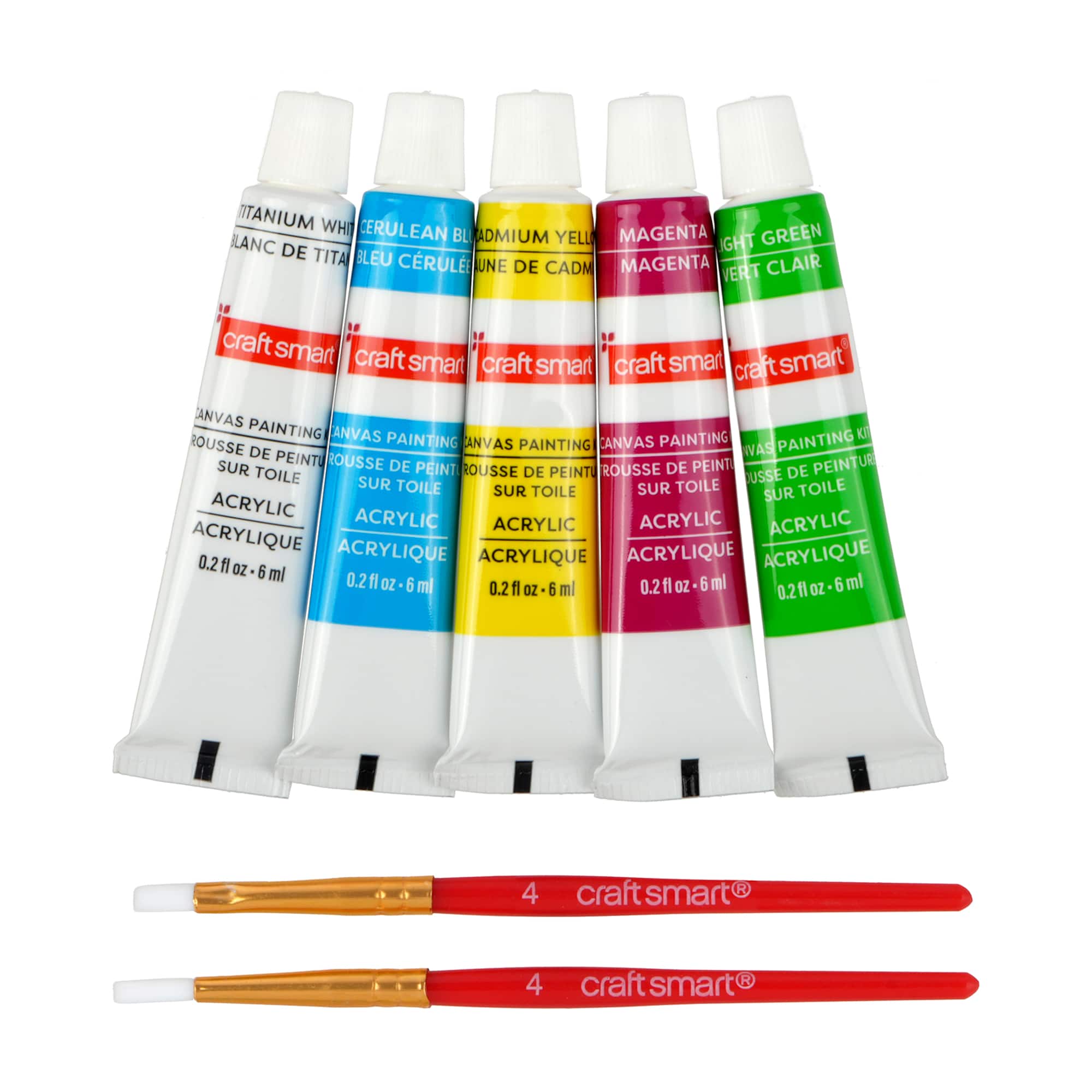 Mini Spring Lilypad Canvas Painting Kit by Craft Smart®